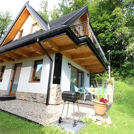 Domki Pod Brzegiem Bialy Dunajec Exterior photo