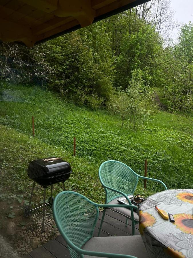 Domki Pod Brzegiem Chalet Bialy Dunajec