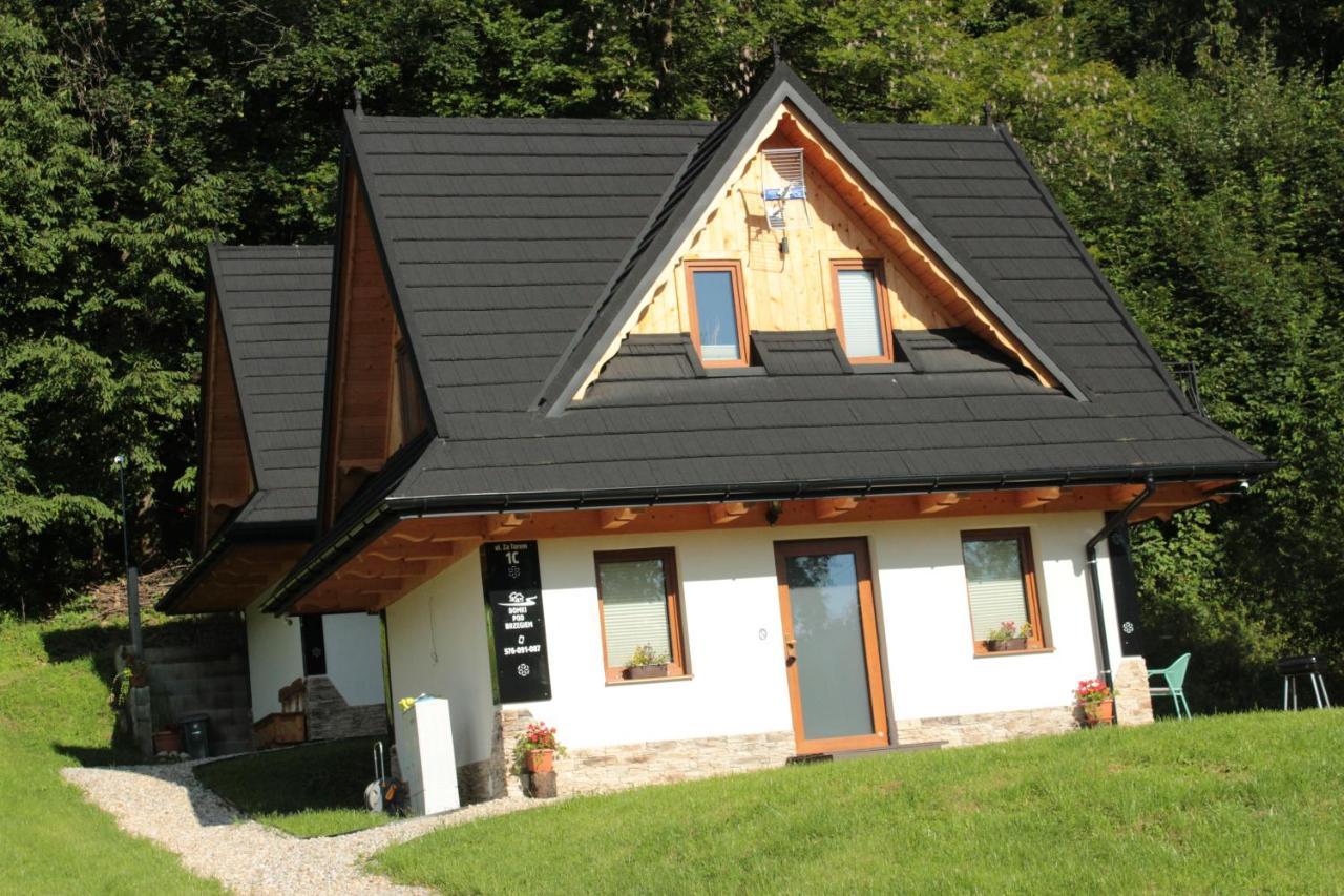 Chalet Domki Pod Brzegiem *